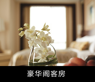 豪华阁客房
