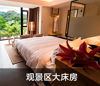 观景区大床房