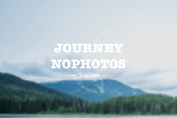 万家丽酒店:便捷赋能,旅居更从容